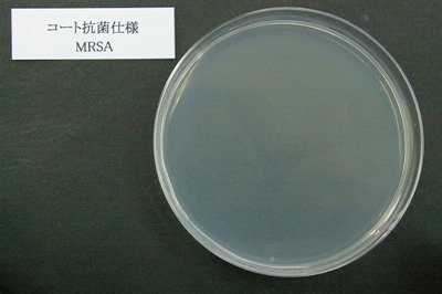 光触媒処理（MRSA)