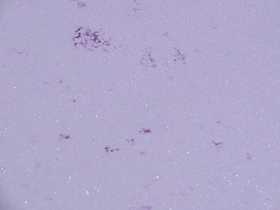 RIMG0332