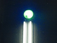 RIMG0007