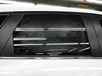 DSC03236
