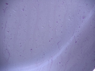 RIMG0050