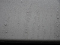 DSC00058