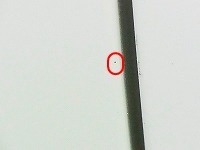 RIMG0019