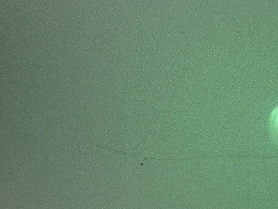 DSC02475