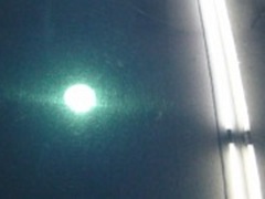 TOYOTA　セルシオ